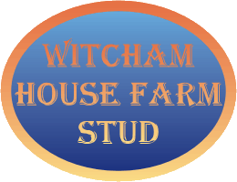 Hanoverian Stud for hanoverian stallions and dressage horses at Witcham House Farm Stud.